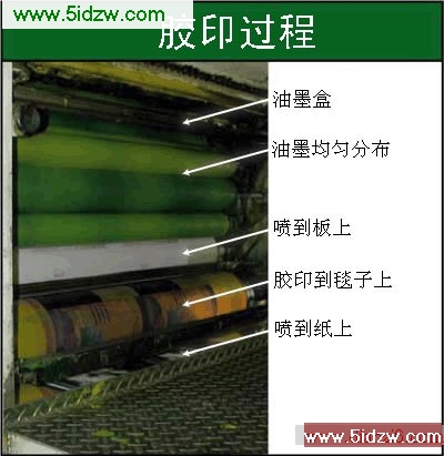 各种辊的近照