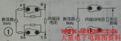 人体脂肪测量仪的原理